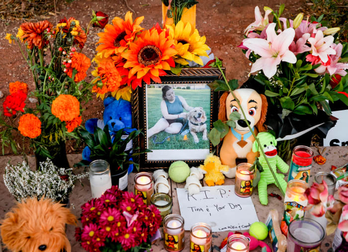 Tintor, 23, was driving with her golden retriever, Max, in the passenger seat.